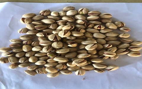 پسته کله قوچی تواضع با طعمی بی نظیر